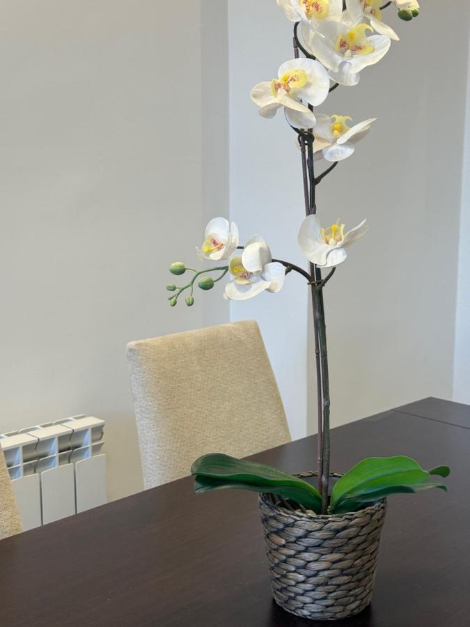 Apartment Victoria 32 Malaga